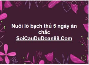 Nuôi lô bạch thủ 5 ngày ăn chắc