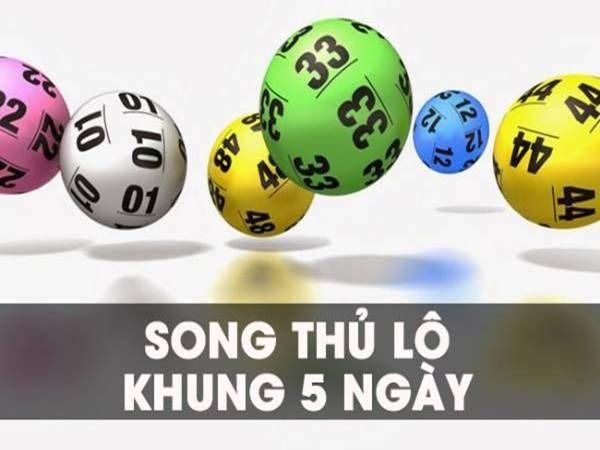 nuôi song thủ lô khung 5 ngày chính xác